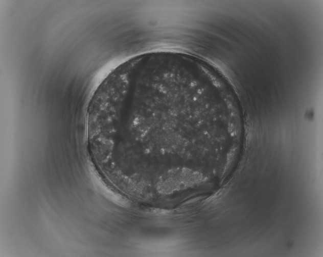 X0000111911371200908171252