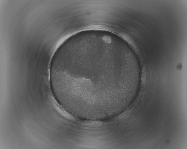 X0000111911372200908171252