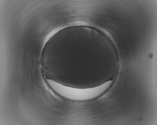 X0000111911373200908171252