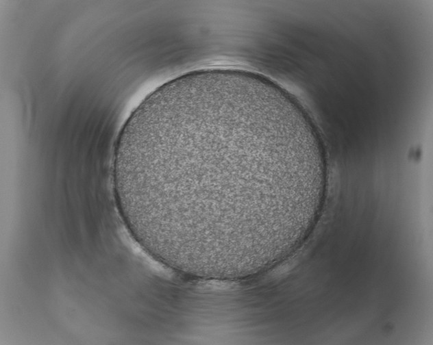 X0000111911374200908171252