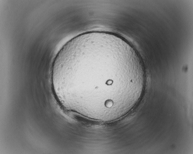 X0000111911375200908171252