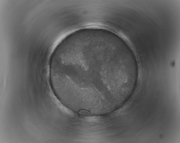 X0000111911376200908171252