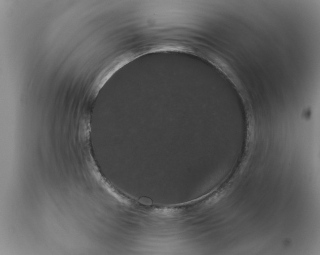 X0000111911377200908171252