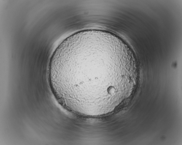 X0000111911379200908171252