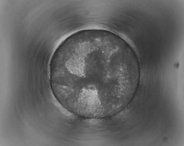 X0000111911380200908171252