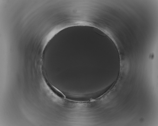 X0000111911381200908171252