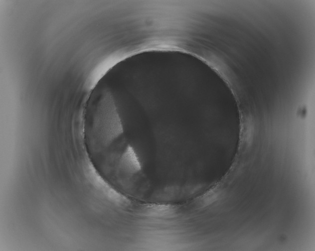 X0000111911382200908171252