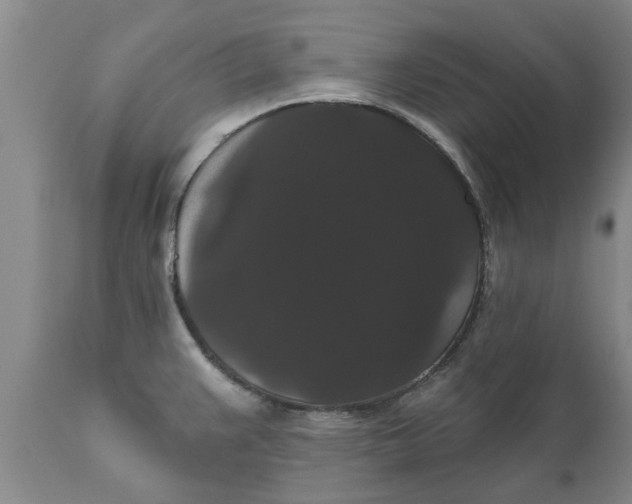 X0000111911383200908171252