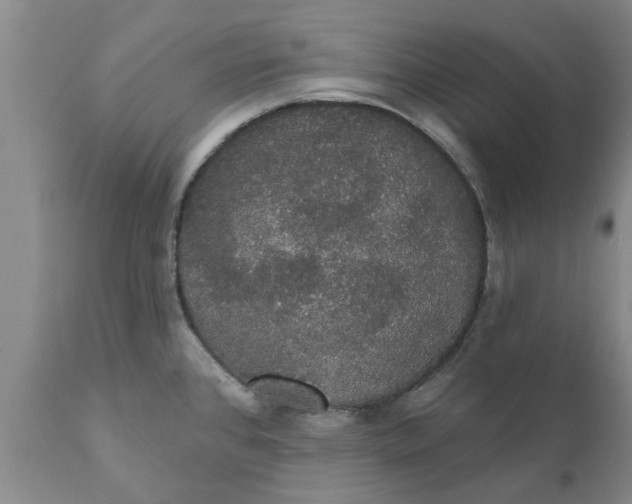 X0000111911384200908171252