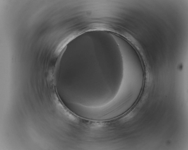 X0000111911385200908171252