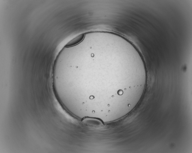 X0000111911387200908171252