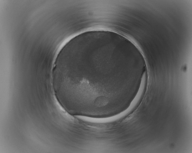 X0000111911388200908171252