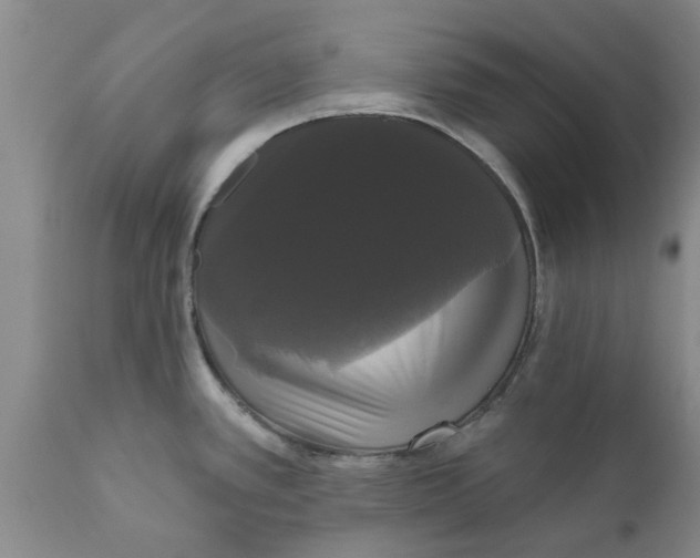 X0000111911389200908171252