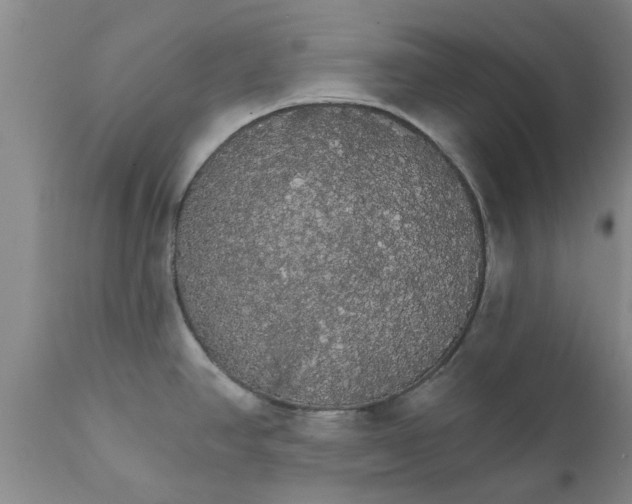 X0000111911390200908171252