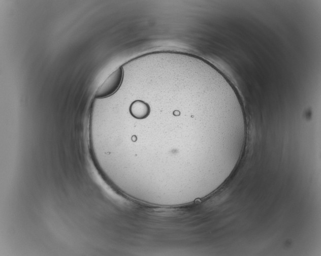 X0000111911391200908171252