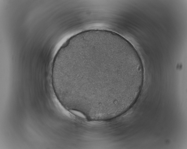 X0000111911392200908171252