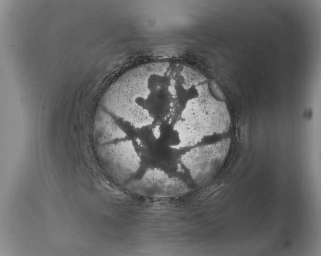 X0000111911393200908171251