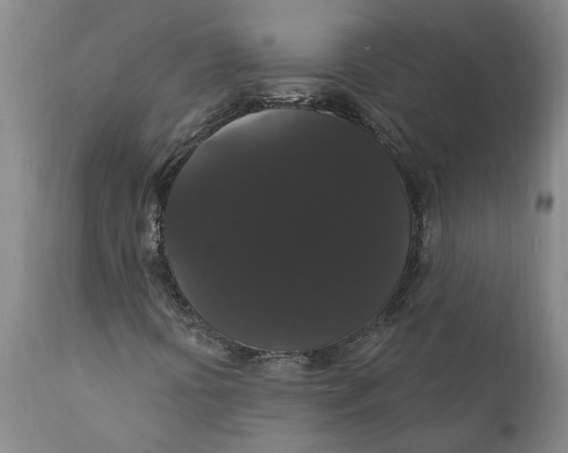 X0000111911394200908171251