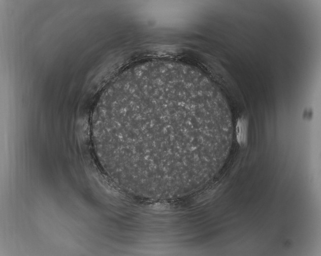 X0000111911395200908171251