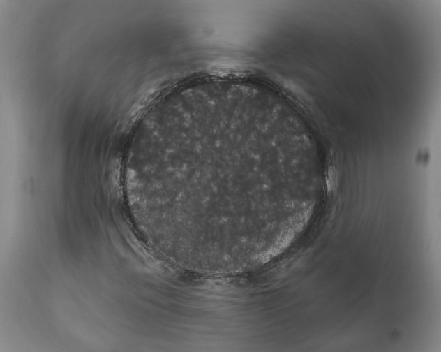 X0000111911396200908171251