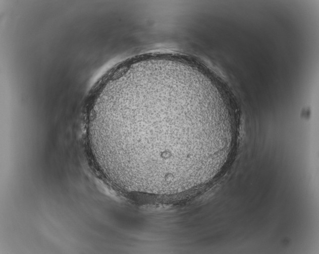 X0000111911400200908171251