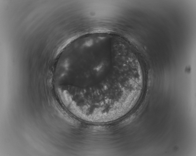 X0000111911401200908171251