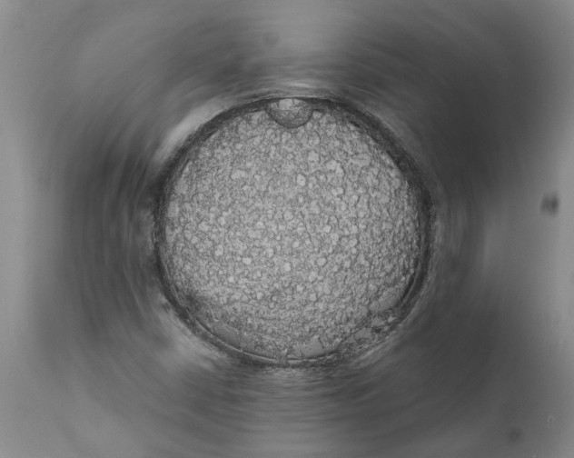 X0000111911402200908171251