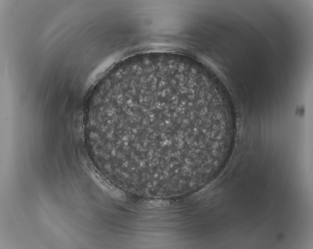 X0000111911403200908171251