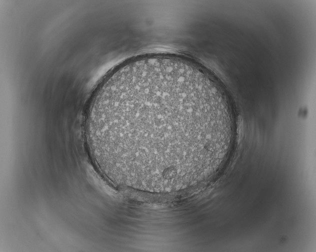 X0000111911404200908171251