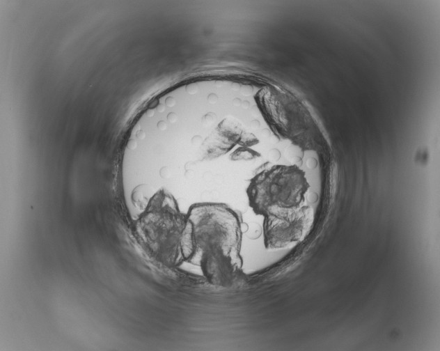 X0000111911405200908171251