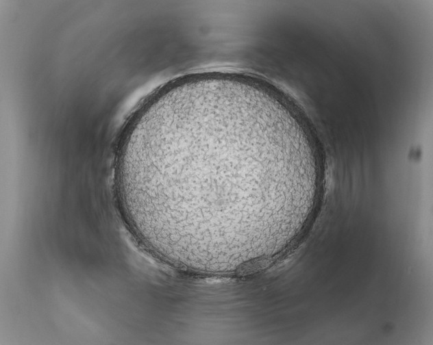 X0000111911406200908171251