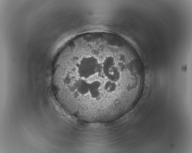 X0000111911407200908171251