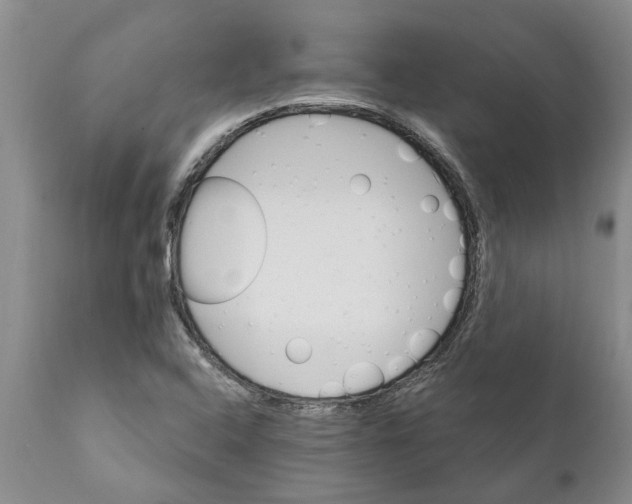 X0000111911408200908171251