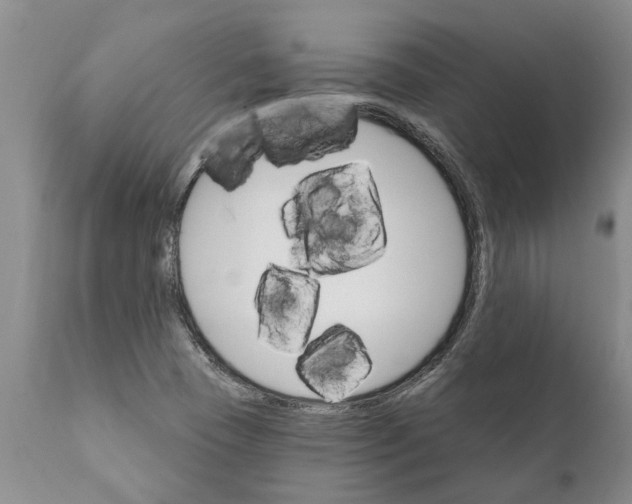 X0000111911409200908171251