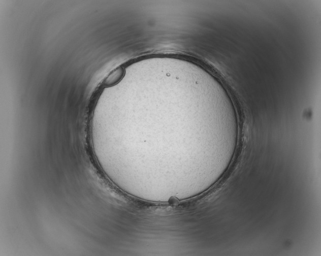 X0000111911410200908171251