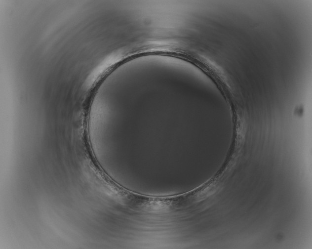 X0000111911411200908171251