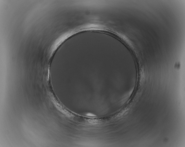 X0000111911413200908171251