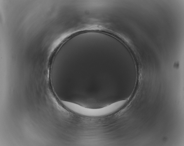 X0000111911414200908171251