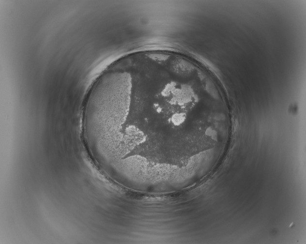 X0000111911415200908171251