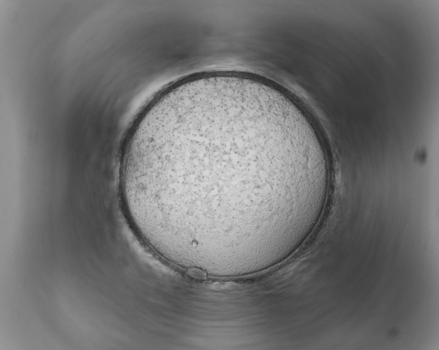 X0000111911416200908171251