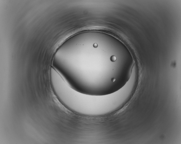 X0000111911417200908171251