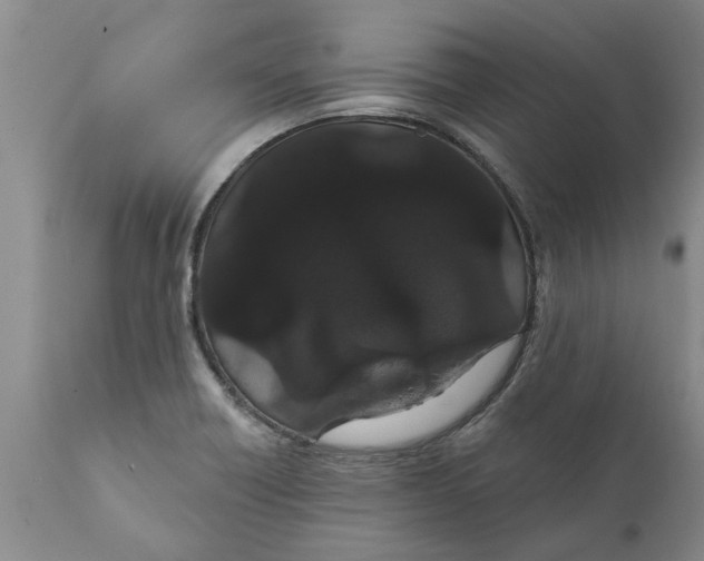 X0000111911418200908171251