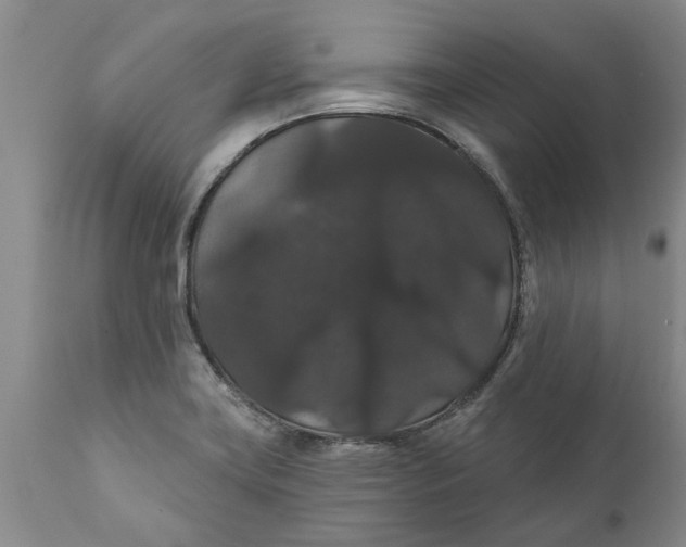 X0000111911419200908171251