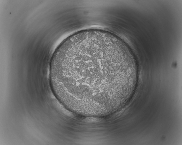 X0000111911420200908171251