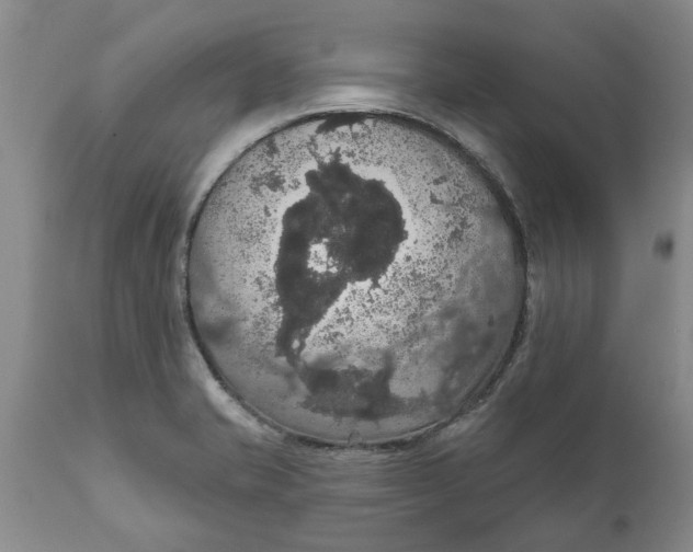 X0000111911421200908171251