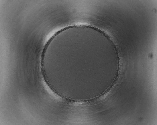 X0000111911422200908171251