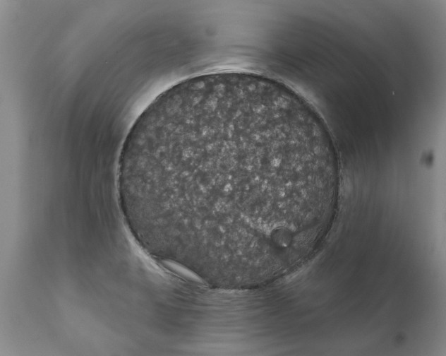 X0000111911423200908171251