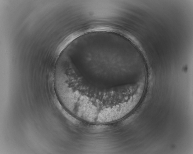 X0000111911425200908171251