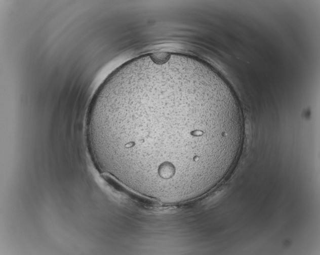 X0000111911426200908171251