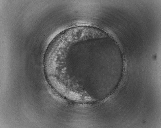 X0000111911427200908171251